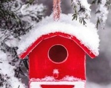 Лунный календарь садовода-огородника на февраль 2018 - «Советы огородные»