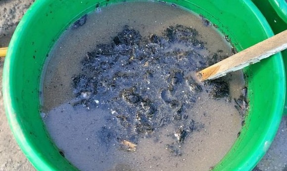 Заключительная двойная подкормка моркови и свёклы, чтобы корнеплоды стали толще и слаще - «Советы огородные»