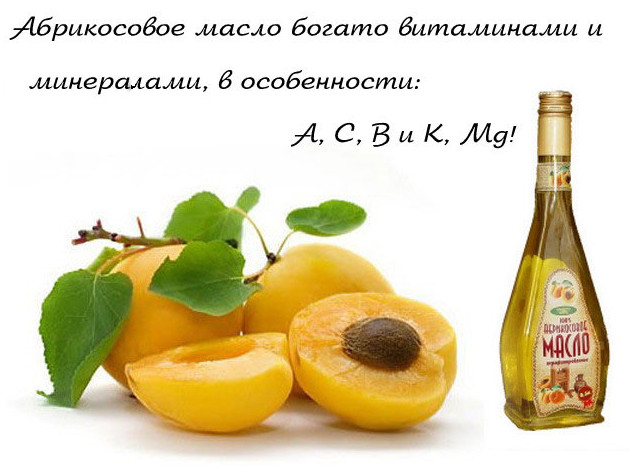 Абрикосовые косточки (ядра) — польза и вред, отзывы о применении - «Деревья»