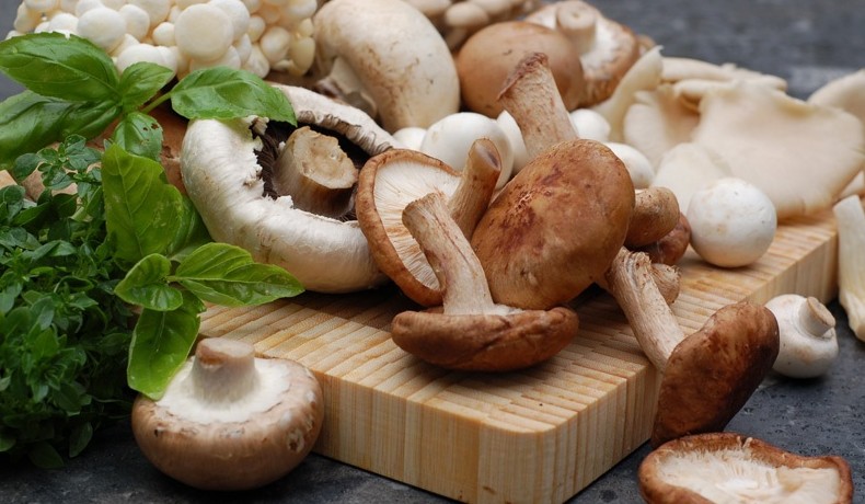 Можно ли детям грибы и со скольки лет (+25 фото)? - «Овощи»