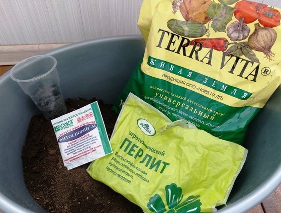 Как подготовить землю для выращивания рассады - «Советы огородные»