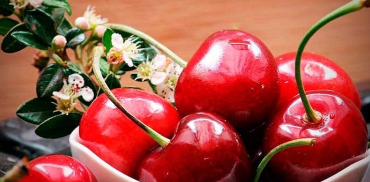 Лечебные свойства вишни - «Сад-огород»