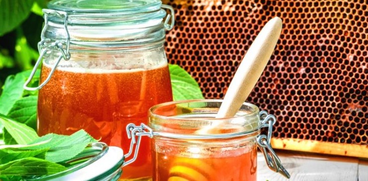 Рецепты от простуды с липовым медом - «Сад-огород»