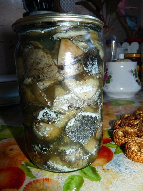 Что делать если заплесневели соленые грибы (+11 фото)? - «Овощи»