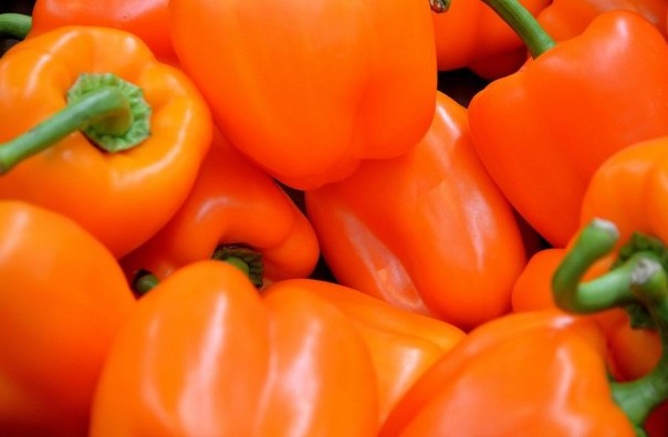 Лучшие сорта оранжевых перцев: описание с фото - «Овощи»