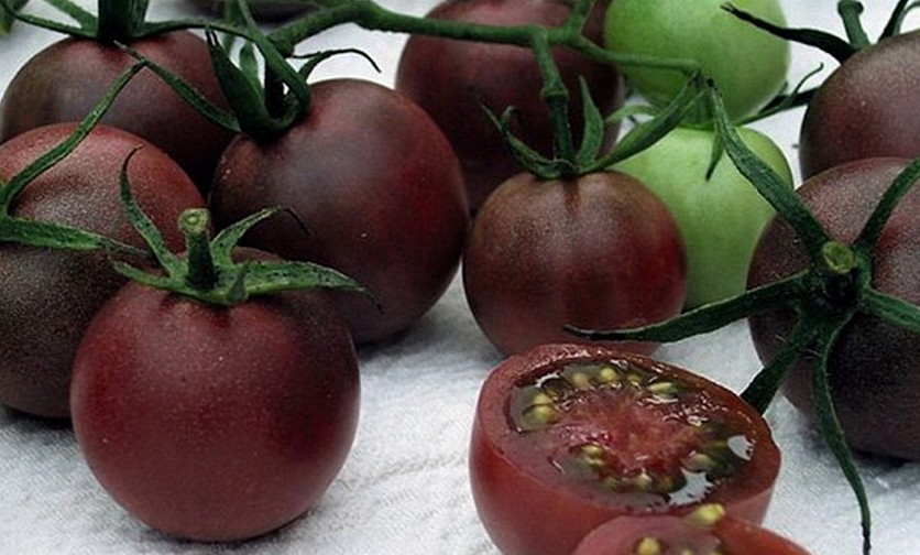Каталог черных сортов помидоров - «Овощи»