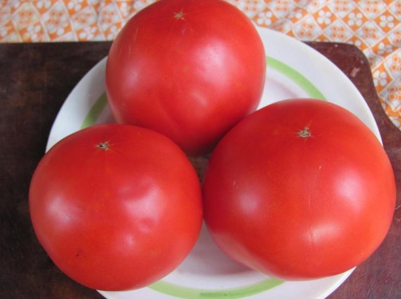 Лучшие жароустойчивые сорта томатов для южной части России - «Овощи»