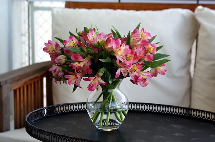 Топ-15 цветов, которые долго стоят в вазе - «Цветы»